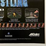 Hulk Hogan WWE Legends GameCube Poster - 2002