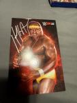 Hulk Hogan WWE 2K15 Hulkamania Edition PS4 Game