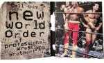 NWO Revolution WCW WWE Wrestling DVD Box Set