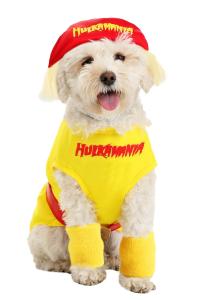 Hulk Hogan Inspired Dog Costume for Pets