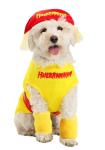Hulk Hogan Inspired Dog Costume for Pets