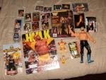 Hulk Hogan 23-Piece Collectible Figure & Card Set