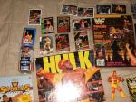 Hulk Hogan 23-Piece Collectible Figure & Card Set