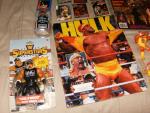 Hulk Hogan 23-Piece Collectible Figure & Card Set