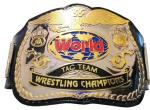 Hulk Hogan World Tag Team Wrestling Championship Belt