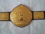 Hulk Hogan Big Gold Championship Replica Belt