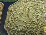 Hulk Hogan Big Gold Championship Replica Belt