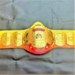 Hulk Hogan Mania Championship Title Belt Tribute