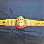 Hulk Hogan Mania Championship Title Belt Tribute