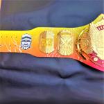Hulk Hogan Mania Championship Title Belt Tribute