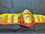 Hulk Hogan Mania Championship Title Belt Tribute