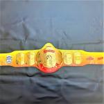 Hulk Hogan Mania Championship Title Belt Tribute