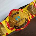 Hulk Hogan Winged Eagle Championship Replica Title Belt