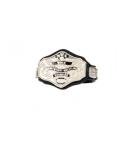 WWE Hulk Hogan 1985 Championship Belt 1/12 Scale