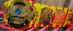 Hulk Hogan Winged Eagle Championship Replica Title Belt