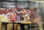 Hulk Hogan Autographed Championship Belt Shadowbox