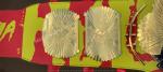 Hulk Hogan Winged Eagle Championship Replica Title Belt