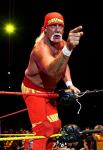 Hulk Hogan 13x19" Wall Poster