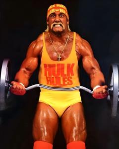 Hulk Hogan WWE 9x12 Poster - Hulk Rules!