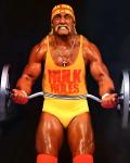 Hulk Hogan WWE 9x12 Poster - Hulk Rules!