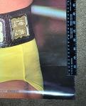 Hulk Hogan 1985 WWF Poster XL - Epic Style!