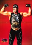 Hulk Hogan NWO Poster with Big Gold Belt