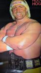 Hulk Hogan 1985 WWF Poster XL - Epic Style!