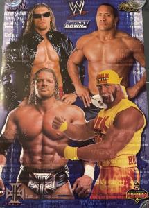Hulk Hogan Wrestling Superstars 2002 Poster