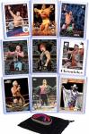 All-Time Greats WWE Card Pack: Hogan, Cena & More