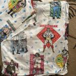 Hulk Hogan Vintage WWF Wrestling Twin Sheet Set