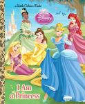 Disney Princess Little Golden Book for Kids