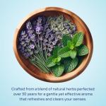 Allclair Natural Nausea Relief Inhalers - 2 Pack