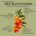 Organic Sea Buckthorn Oil Softgels for Health