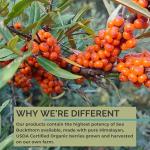 Organic Sea Buckthorn Oil Softgels for Health