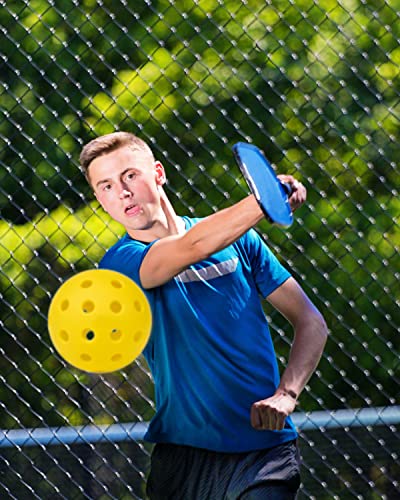 USA Pickleball Approved 40 Hole Outdoor Pickleballs