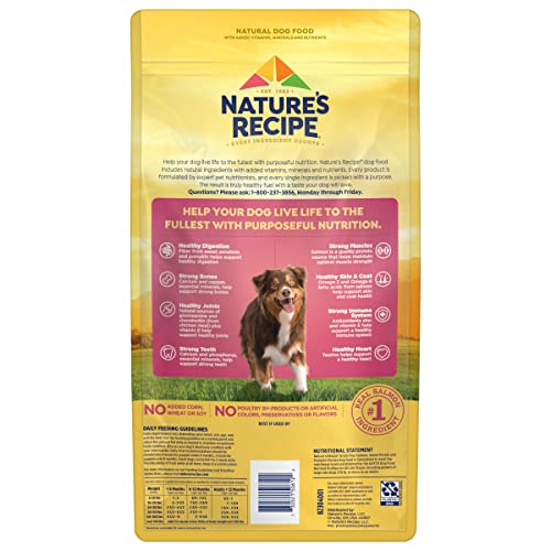 Grain-Free Salmon Dog Food, Sweet Potato & Pumpkin