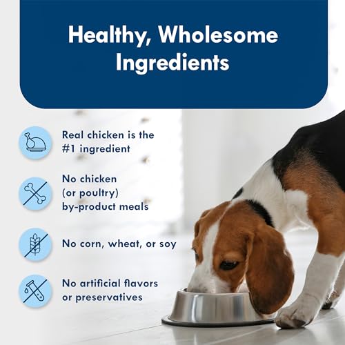 Blue Buffalo Delights Chicken Wet Food 3.5-oz (12-pack)