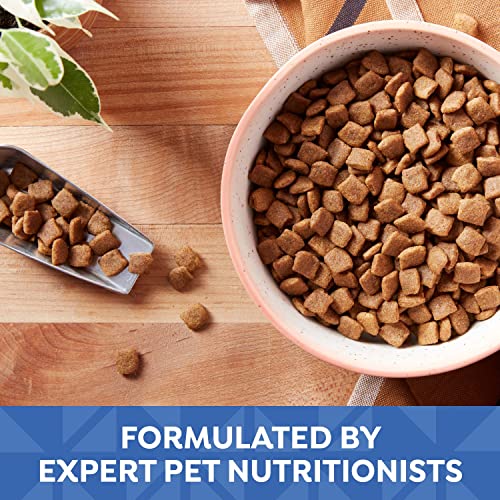 Grain-Free Small Breed Dog Food with Chicken & Sweet Potato