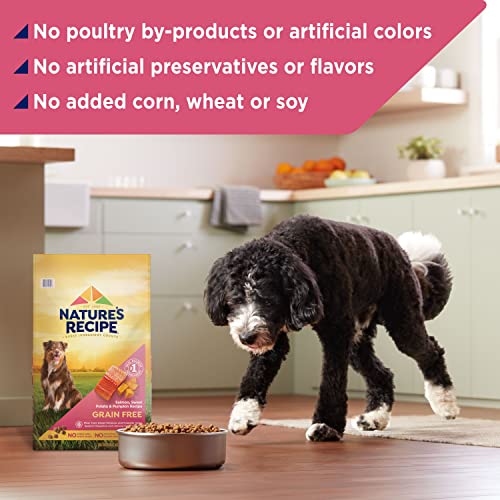 Grain-Free Salmon Dog Food, Sweet Potato & Pumpkin