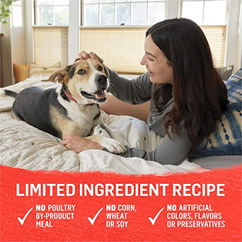 Purina Beyond Beef, Potato & Green Bean Wet Dog Food (12 Cans)