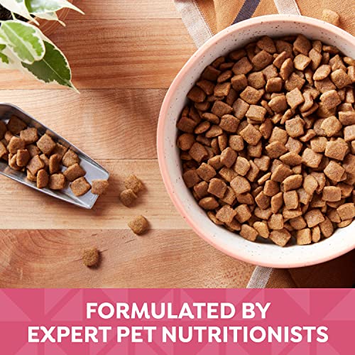 Grain-Free Salmon Dog Food, Sweet Potato & Pumpkin