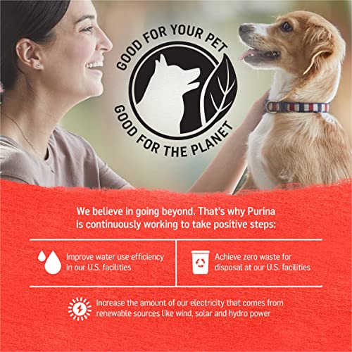 Purina Beyond Beef, Potato & Green Bean Wet Dog Food (12 Cans)