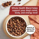 Rachael Ray Nutrish Dry Dog Food, Real Beef, 6lb