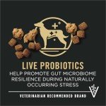 Pro Plan Senior Dog Food, Chicken & Rice