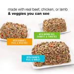 Purina Beneful High Protein Gravy Wet Dog Food - 12-Pack