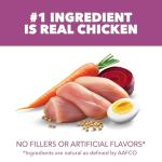 IAMS Healthy Aging Adult Dog Food, Real Chicken, 29.1 lb