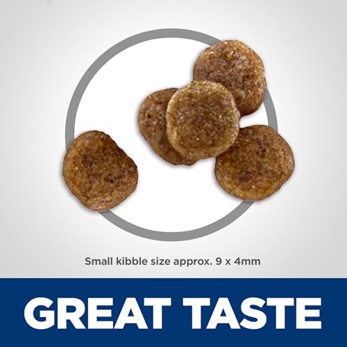 Senior Small Bites Dog Food, Chicken, 5 lb