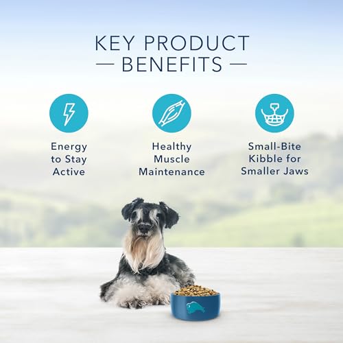 Blue Buffalo Senior Small Breed Dog Food 5-lb Bag
