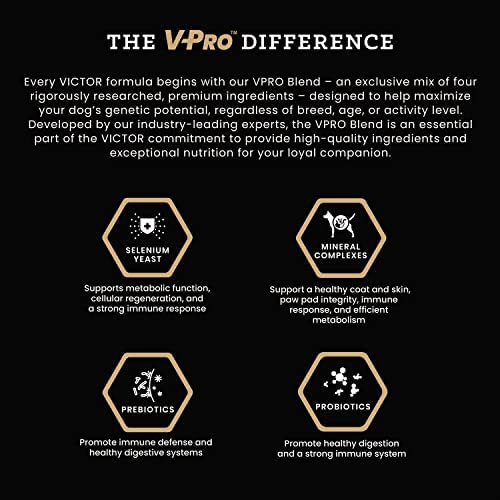 Senior Healthy Weight Dog Food - Gluten Free, 40lbs