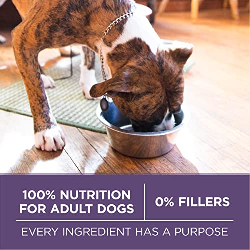 Purina ONE Senior Dog Food - 16.5 lb Bag